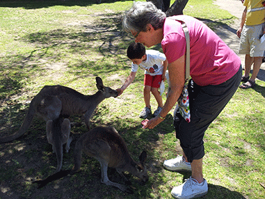feeding the roos with grammy